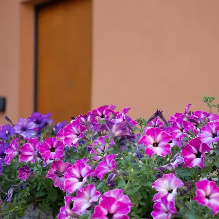 La Corte 1813 Mxp Maggiore Leonardo 아파트 *