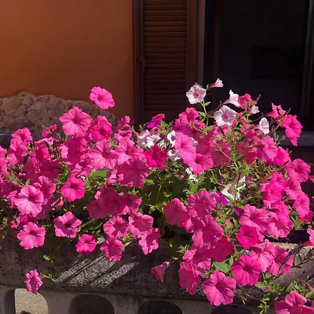 La Corte 1813 Mxp Maggiore Leonardo 아파트 *