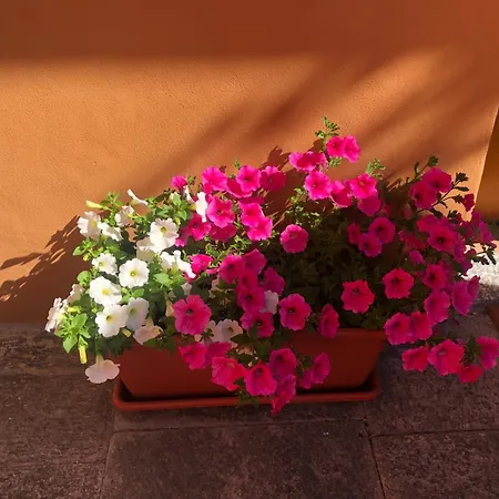 아파트 La Corte 1813 Mxp Maggiore Leonardo