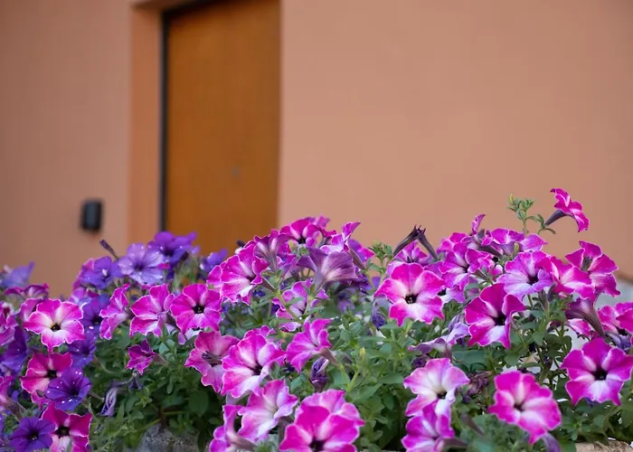 La Corte 1813 Mxp Maggiore Leonardo Apartament *