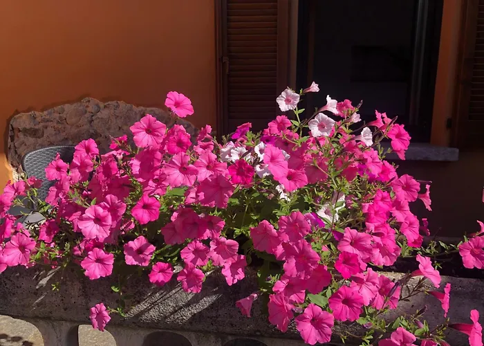 La Corte 1813 Mxp Maggiore Leonardo Apartament *