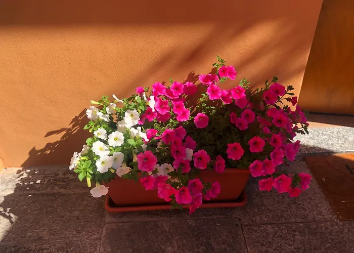 Apartmán La Corte 1813 Mxp Maggiore Leonardo